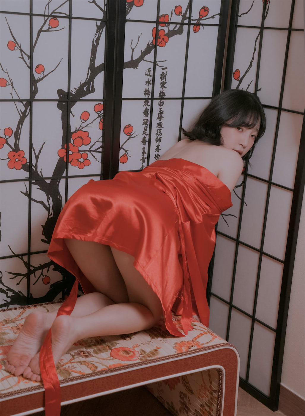 姜仁卿冬梅红绸缎22图插图3