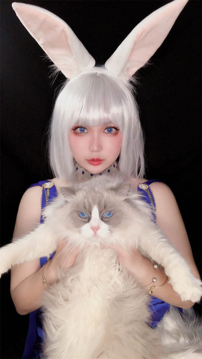 椒妮佐仁碧蓝航线带猫加贺16图1视频插图1