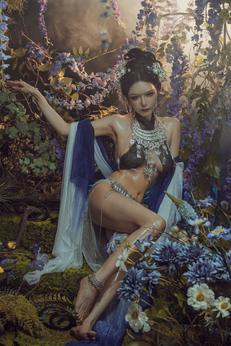 秋和柯基紫40图1视频插图1